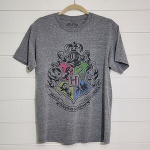 Harry Potter Hogwarts Crest & Motto Draco‎ Dormiens Nunquan Titillandus Gray M